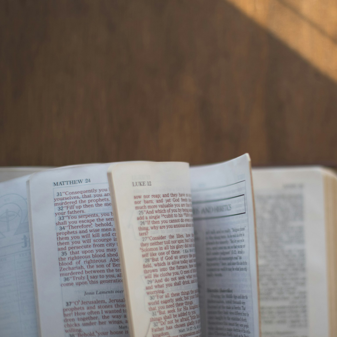 Exploring the New Testament