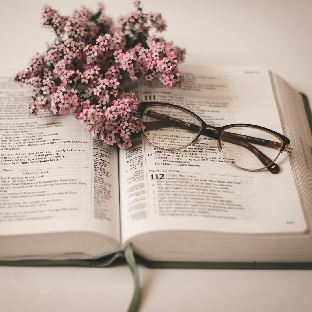 Women of Grace Day Bible Study: 2 Samuel & 1 Chronicles