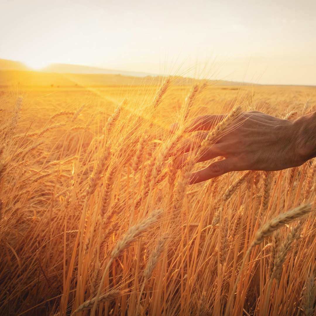 Facilitating Spiritual Conversations for Growth (Closed Run)